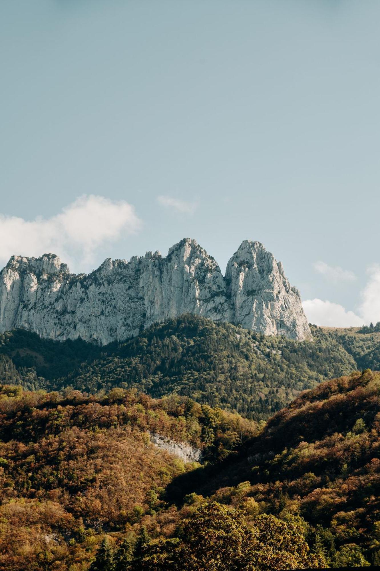 Hotel Le Cottage Bise Talloires Dış mekan fotoğraf